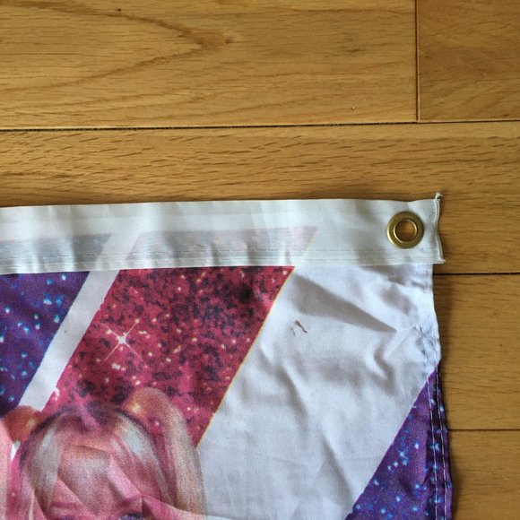 Spice Girls Banner Spice World - Picture 4 of 4